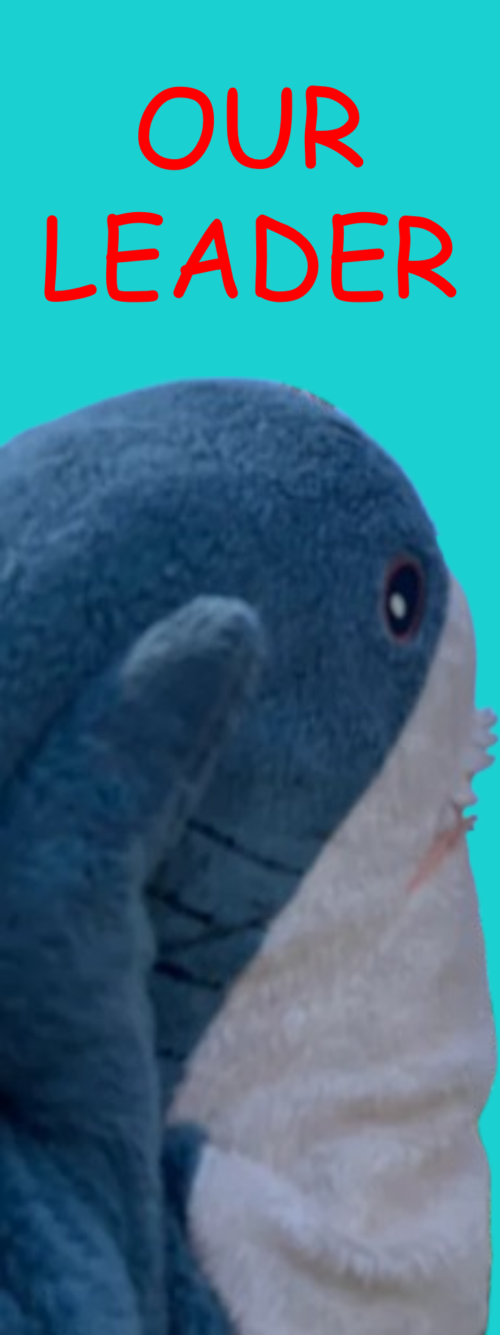 Plush toy shark saluting with the text "OUR LEADER" in red above it.